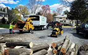 Best Seasonal Cleanup (Spring/Fall)  in Waterville, NY