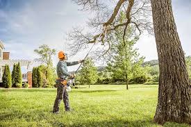 Lawn Renovation and Restoration in Waterville, NY